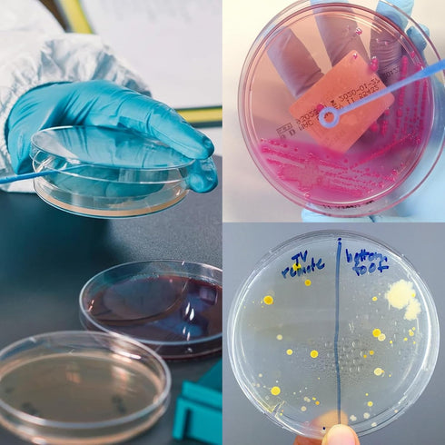 30 PCS 60mm Plastic Petri Dish with Lids, Sterile, Includes 10PCS 10uL Inoculation Loops