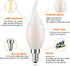 E12 Bulb, 2 Watt(25W 3000K, Dimmable CA10 Bulbs 3-Pack Frosted LED Candelabra Equivalent), Soft Wihte Flame Tip LED