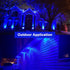 Par38 Bulb 15W(100Watt Bulbs, E26 Bulbs 2 Pack LED Blue Light - Equivalent) Blue LED Light Base Flood Light Perfect
