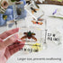 8 Pcs Real Insects in Resin Large Bug Collection Kit with Flying Insects, Butterflies Includes Specimen ID Cards