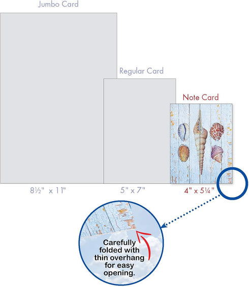 The Best Card Company - 10 Blank Note Cards with Envelopes (4 x 5.12 Inch) - Bulk All Occasion Cards Boxed - Driftwood