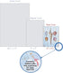 The Best Card Company - 10 Blank Note Cards with Envelopes (4 x 5.12 Inch) - Bulk All Occasion Cards Boxed - Driftwood