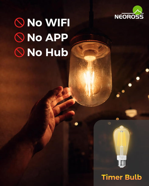 ST19 Bulb 2 Pack: Bulbs 3H/6H/9H/12H 2700K 600lm, E26 Timer Light Vintage Edison LED with Built-in Timer, Auto Modes
