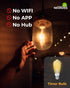 ST19 Bulb 2 Pack: Bulbs 3H/6H/9H/12H 2700K 600lm, E26 Timer Light Vintage Edison LED with Built-in Timer, Auto Modes