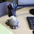Novelty Tape Dispenser, Raccoon Desk Accessory, 6 Inches for Office or Cubicle