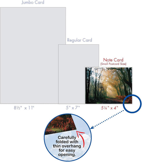 The Best Card Company - 20 Blank Landscape Nature Note Cards (4 x 5.12 Inch) - 10 Designs, 2 Each - Shining Through