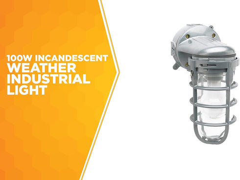 L1707SV 150W Woods Traditional Incandescent Weather Industrial Light, Wall Mount, Silver,Large