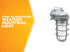 L1707SV 150W Woods Traditional Incandescent Weather Industrial Light, Wall Mount, Silver,Large