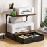 VYUOL Printer Stand with Storage for Desk, with Fabric Drawer Desktop Printer Stand Shelf Organzier for Home Office