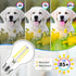 MAXvolador 60W Equivalent E26 LED Filament Light Bulbs, 850LM Daylight White, Non-Dimmable, 4-Pack