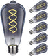 ST19 LED Smoky Grey Glass Edison Bulb, Vintage, 6 Pack, Daylight 5000K, E26 Base, 4.5W Equivalent to 40W