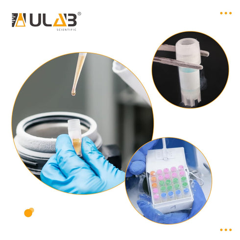ULAB 50pcs 2ml Cryotubes Small PP Cryo Vials with Screw Caps, Electron Beam Sterilization, Free from DNase & RNase,