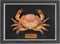Liyoakyo Real Crab Taxidermy Framed Preserved Specimen for Coastal Wall Decor, Beach Home