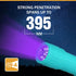 EverBrite Black Light Flashlight UV Mini 9-Led 395nm Detector for Pet Urine, Stains, Scorpions