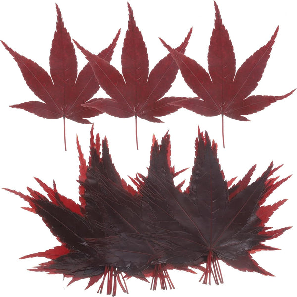 Japanese Sushi Leaf Decorations Maple Leaf Food Dish Decor Natural Sashimi Serving