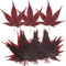 Japanese Sushi Leaf Decorations Maple Leaf Food Dish Decor Natural Sashimi Serving