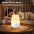 VIPDEER 12 19 30mins Display,Dimmable, Night Light with White Noise Sounds, Touch Control Bedside Lamp, RGB Light