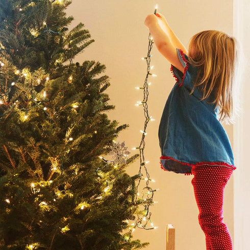 33ft 100 Green Convenience Christmas Lights LED Battery String Lights with Timer Memory Function USB or Battery Powered