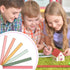 Panelee 306 Pcs 12 Inch Plastic Ruler, Colorful Transparent Ruler with Inches and Centimeters for School