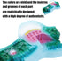 DLOULP Realistic PVC Plant Anatomy Model Detailed Biology Teaching Tool for Classroom & Science Lab Demonstrations