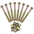 Biaungdo M8 100mm 8 x Bunk Bed Bolts, Hex Drive Socket Furniture Barrel Screws Bolt Nuts Furniture Crib Baby Bed Bolt