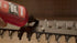 12oz (22503), STA-BIL Blade Guard - Premium Lubricant, Helps Maintain Edge, Will Not Harm Plants, Protects Against Rust