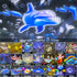 LytRdIt 21 Sets 360 of Films, Projector Night Light for Kids Bedroom, Ceiling, Star Galaxy Projector, Baby Night Light