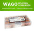 WAGO 221 Series 28pc Compact Splicing Wire Connectors Assortment Pack with Case, includes 221-412, 221-413, 221-415