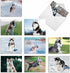 The Best Card Company - 10 Adorable Blank Dog Cards, Assorted Pet Breeds, Boxed Set - Alaskan Huskies AM6827OCB-B1x10