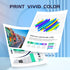 ZIPRINT Remanufactured Ink Cartridge Replacement for Epson 252XL, 2-Pack for Workforce Printers