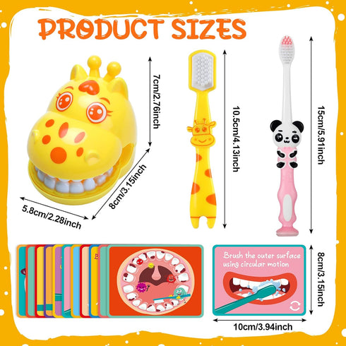 2 Set Set Skylety Dentist Play Dental Teeth Model with Toothbrush Educational Cards Standard Size Fake Brace