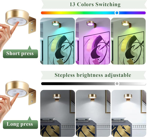 KELUOLY 2-Pack 13 Dimmable Picture Light Battery Operated Painting Lights, Color RGB Magnetic LED Display Art Light