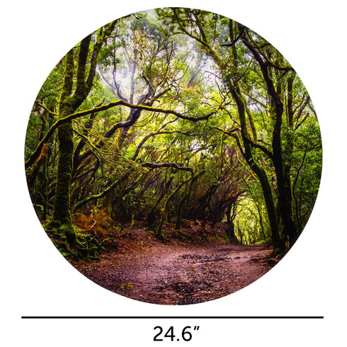 tickit Forest Discovery Play Mat - Semi-Translucent, Woodland Landscape - For All Ages - Light Table Accessory - Small