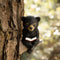 Sitting Bear Tree Hugger with Solar LED Light - Baby Bear Reading Book Garden Statue for Lawn, Yard, Patio Decor