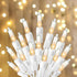 TW SHINE Christmas Lights Warm White, 2Pack 40FT 200 Count Incandescent White