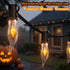 Hobbynors 50Ft Lights,25 C18 Bulbs Extra-Long Fall & Halloween String Flicker Flame for Outdoor Decor,Waterproof