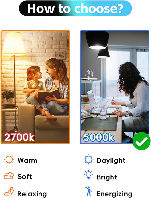 4 Pack Edison Bulbs, 6W E26 LED, 60 Watt Equivalent, Vintage CRI90+ ST19, Dimmable Clear Light Bulbs, 5000K Daylight