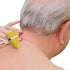 Hammers Hammer) Neurological Reflex for Cutaneous and Superficial Responses, Neurologic Reflex Diagnosis and Testing