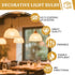 RESISPA 200W Bulbs,A21 Bulb Dimmable E26 Bulbs,A19 Bulb,2700K (2) Incandescent Light Medium Base Light Incandescent