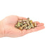 80 Pcs Wood Inserts 1/4 "- 20, Metal Headless Hex Socket Drive Nut Inserts Screws Assortment for Wood Working