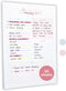 Lamare Daily To Do List Notepad – Undated Daily Planner and Things To Do Notepad for Productivity