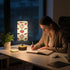 MOOCG 3 Dimmable Ice Cream Design Touch Control Table Lamp with Fabric Shade, Color Temperatures LED Desk Lamp, Eye