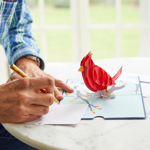 Lovepop Everyday Pop-Up Card, 3D Thinking of You Greeting Card for Her and Him - 5" x 7" Blank Note Card