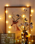 43 100 8 Globe String Lights Ft LED Fairy Lights Plug in with Remote Timer Modes Connectable Twinkle Light for Bedroom
