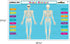 Teacher Created Resources (TCR21028) Human Skeleton Learning Mat