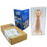 Cherish XT Taxidermy Mantis Shrimp, Real Mantis Shrimp Specimens Animal Specimen in Resin for