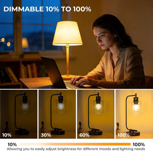 Dimmable G16.5 Bulb 2700K 4W, 40 E26 Bulb, Bulbs 90+CRI 400LM, 12 Pack GvvooHome Light Warm White, watt Equivalent, LED
