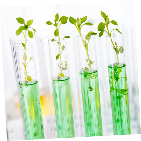 100pcs Test Tube Bottles, Clear Laboratory Test Tubes with Lids for Flower Arrangement, Floral Water Vials
