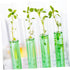 100pcs Test Tube Bottles, Clear Laboratory Test Tubes with Lids for Flower Arrangement, Floral Water Vials