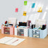 LETURE Desk Organizer with 2 Drawers, Plastic Pen Pencil Card Holder for Office Supplies, Home School (Pink)